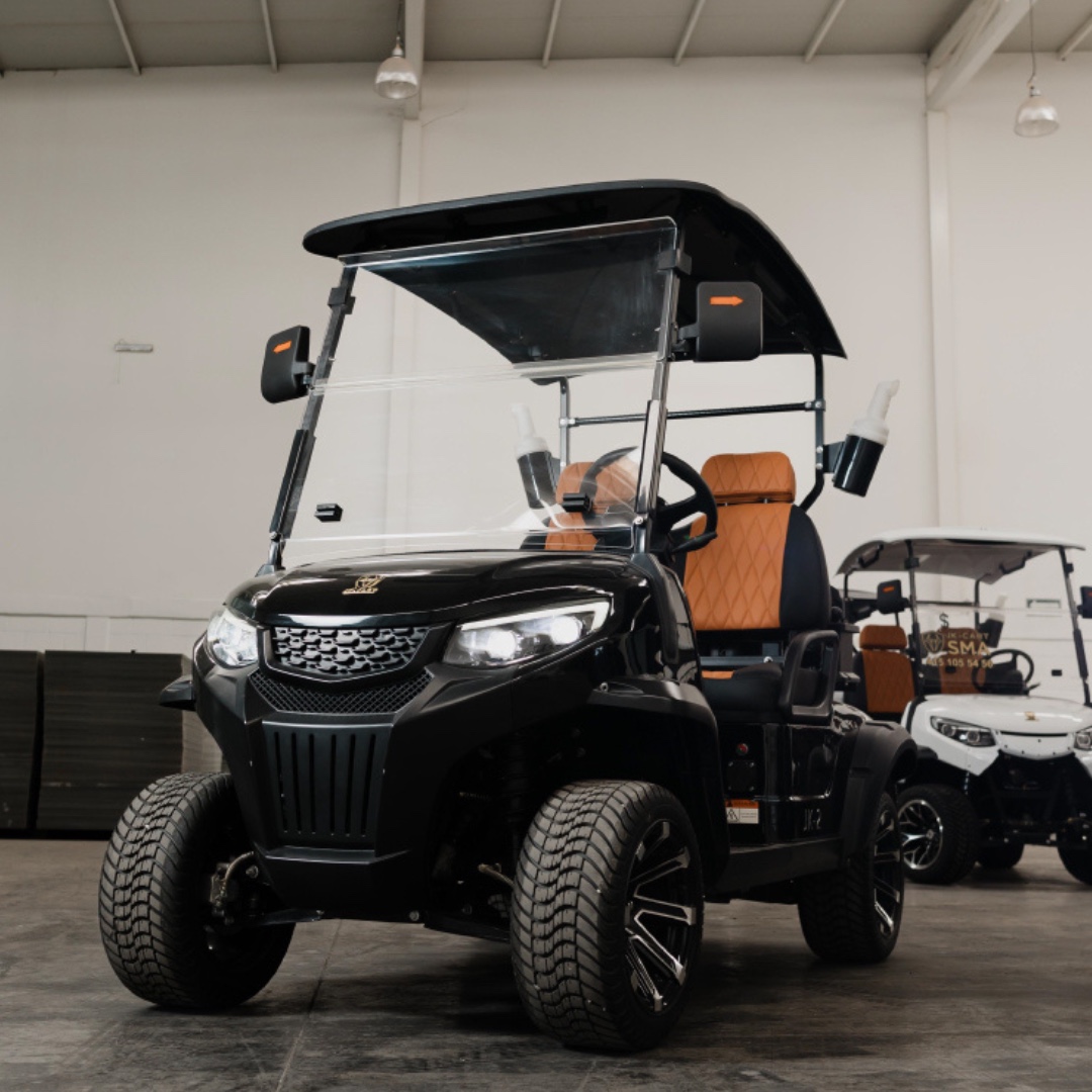 JK-2, carrito de golf eléctrico 2 pasajeros